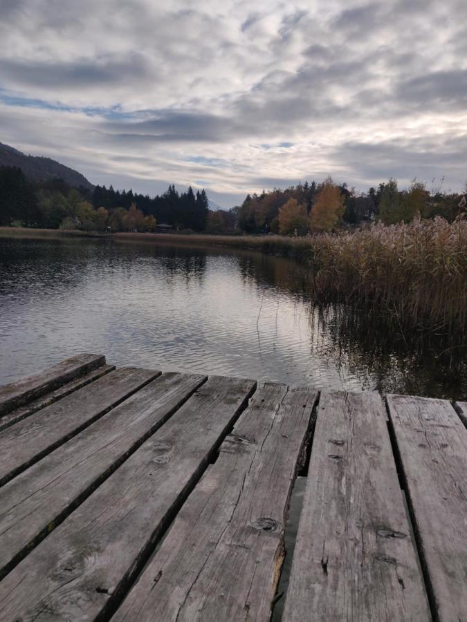 Il Balcone Sul Brenta Διαμέρισμα Lasino Εξωτερικό φωτογραφία